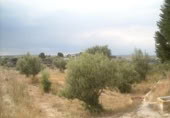 Terreny no urbanitzable en venda a la España, Calasparra, ref.: TR298337 foto