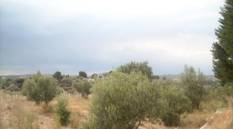Murcia - Calasparra - 1129m2