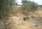 Terreny no urbanitzable en venda a la España, Calasparra, ref.: TR298337 foto