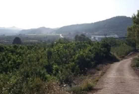 Alzira 4675&nbsp;m² 