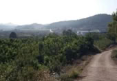 Terreno no urbanizable en venta en la España, Alzira, ref: TR403531 foto