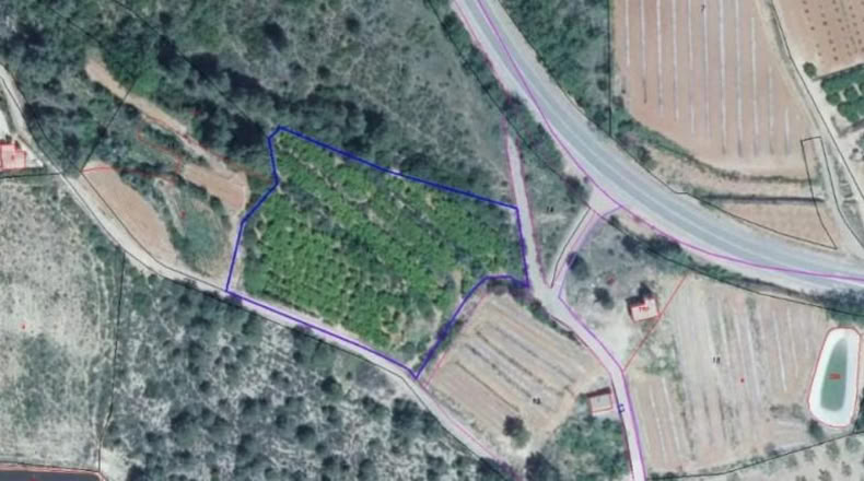 Valencia - Estubeny - 4675m2