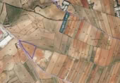 Terreny no urbanitzable en venda a la España, Mondéjar, ref.: TR310232 foto