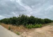 Terreno no urbanizable en venta en la España, Carlet, ref: TR302148 foto