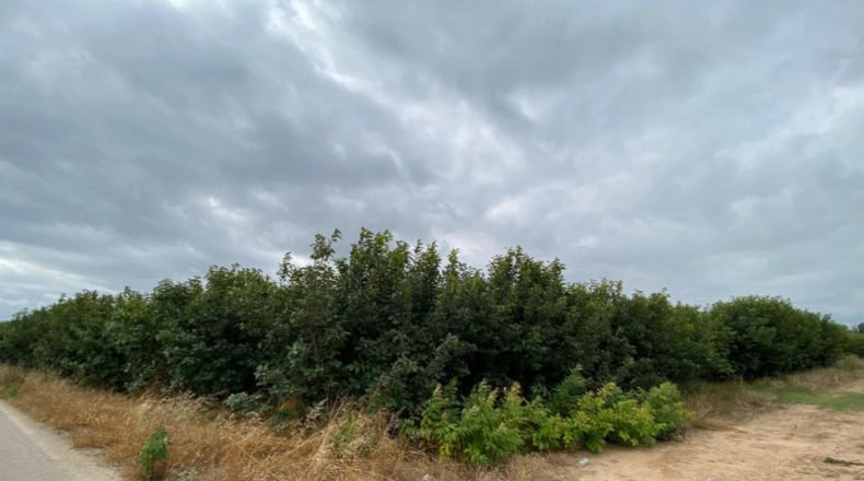 Badajoz - Valverde de Llerena - 3320m2
