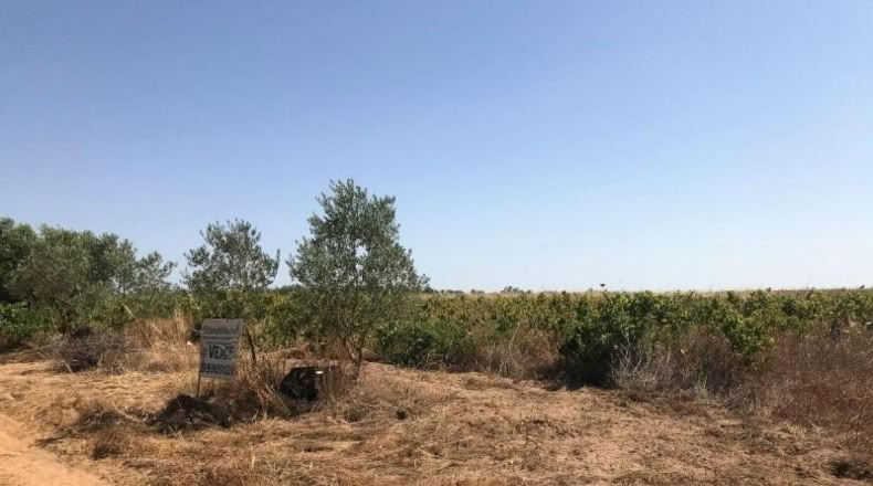 Huelva - Bollullos Par del Condado - 6287m2