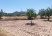 Xalet independent amb terreny en venda a la España, Favanella, ref.: TR321421 foto