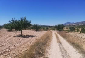 Foto 9