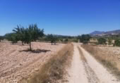 Xalet independent amb terreny en venda a la España, Favanella, ref.: TR321421 foto