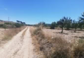 Xalet independent amb terreny en venda a la España, Favanella, ref.: TR321421 foto
