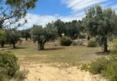 Detached villa with land for sale on España, Cretas, ref: TR315498 photo