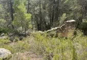 Detached villa with land for sale on España, Cretas, ref: TR315498 photo