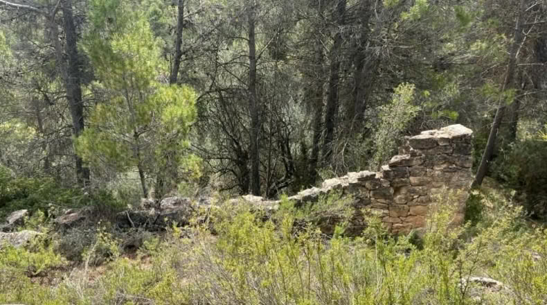 Teruel - Cretas - 9111m2
