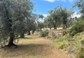 Detached villa with land for sale on España, Cretas, ref: TR315498 photo