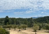 Detached villa with land for sale on España, Cretas, ref: TR315498 photo