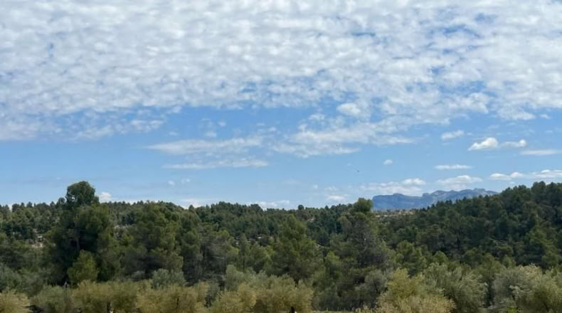 Teruel - Cretas - 9111m2