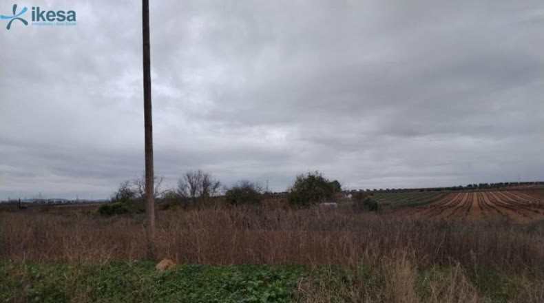 Badajoz - Villalba de los Barros - 10601m2
