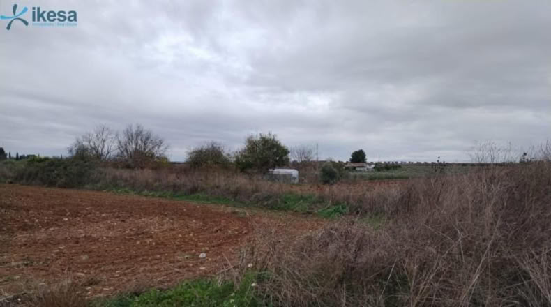 Badajoz - Villalba de los Barros - 10601m2