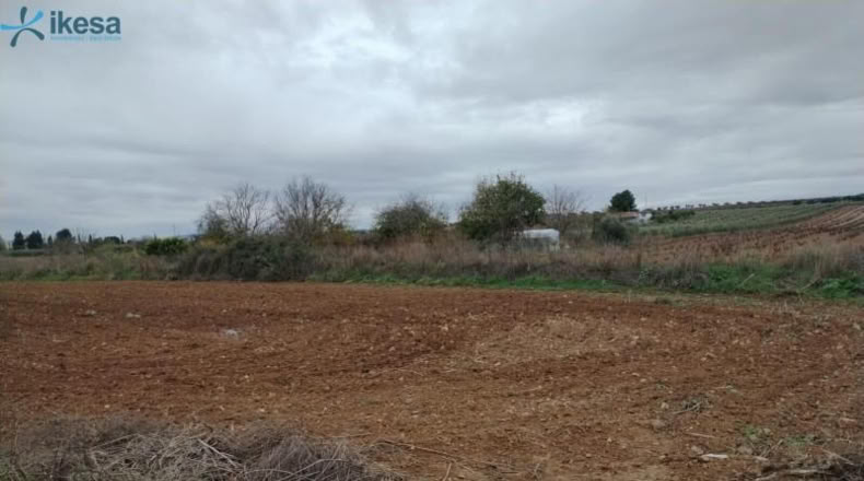 Badajoz - Villalba de los Barros - 10601m2