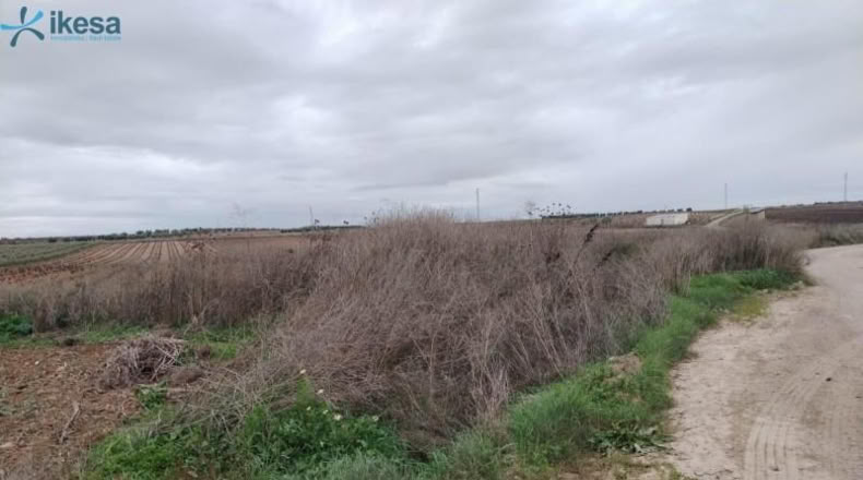 Badajoz - Villalba de los Barros - 10601m2