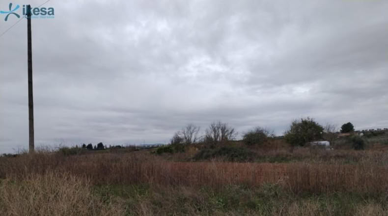 Badajoz - Villalba de los Barros - 10601m2