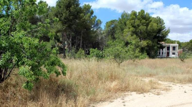 Murcia - Caravaca de la Cruz - 719m2