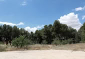 Sòl urbà en venda a la España, Caravaca de la Cruz, ref.: TR130328 foto