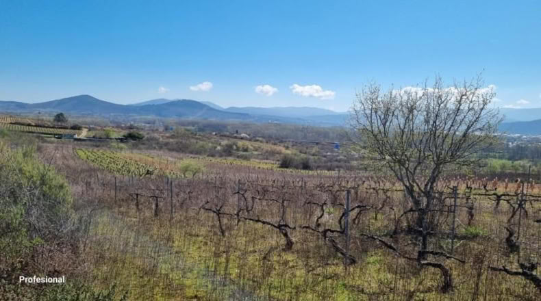 Leon - Ponferrada - 1398m2