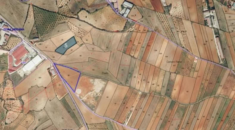 Cuenca - Эль-Пикасо - 4274m2