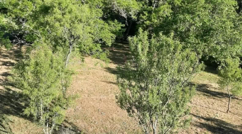 Segovia - Carrascal del Río - 891m2