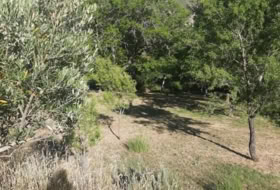 Carrascal del Río 891&nbsp;m²