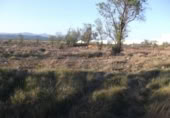 Terreny no urbanitzable en venda a la España, la Vall d'Alba, ref.: TR282665 foto