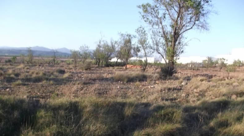 Castellón - la Vall d'Alba - 1812m2