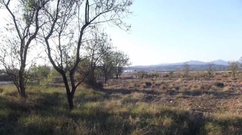 Castellón - la Vall d'Alba - 1812m2