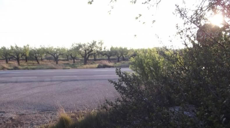 Castellón - la Vall d'Alba - 1812m2