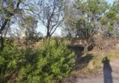 Terreny no urbanitzable en venda a la España, la Vall d'Alba, ref.: TR282665 foto