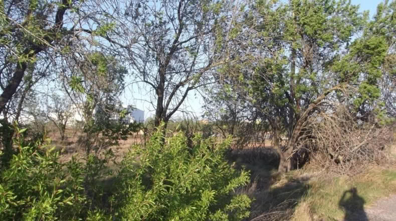 Castellón - la Vall d'Alba - 1812m2