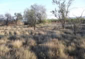 Terreny no urbanitzable en venda a la España, la Vall d'Alba, ref.: TR282665 foto