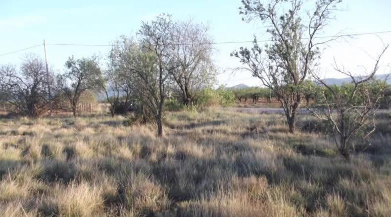 Castellón - la Vall d'Alba - 1812m2