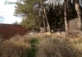 Sòl urbà en venda a la España, Jamilena, ref.: TR300248 foto