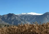 Chalet independiente con terreno en venta en la España, Padul, ref: TR296032 foto