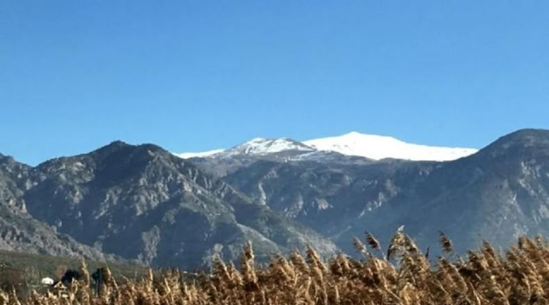 Granada - Padul - 792m2