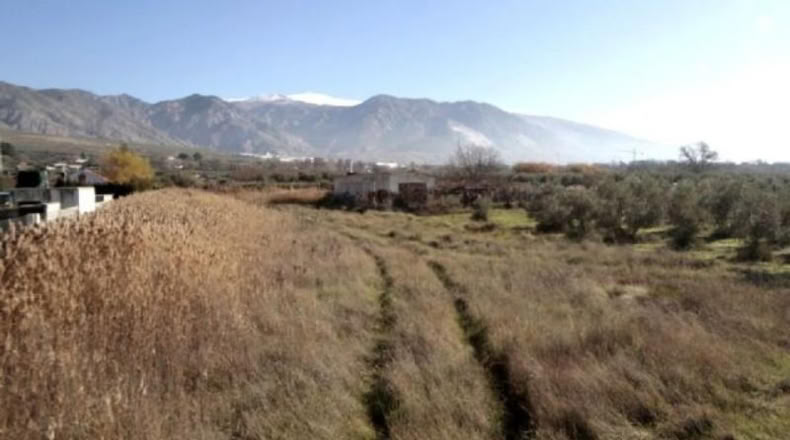 Granada - Padul - 792m2