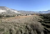 Chalet independiente con terreno en venta en la España, Padul, ref: TR296032 foto