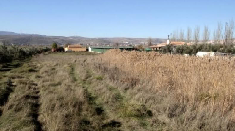 Granada - Padul - 792m2
