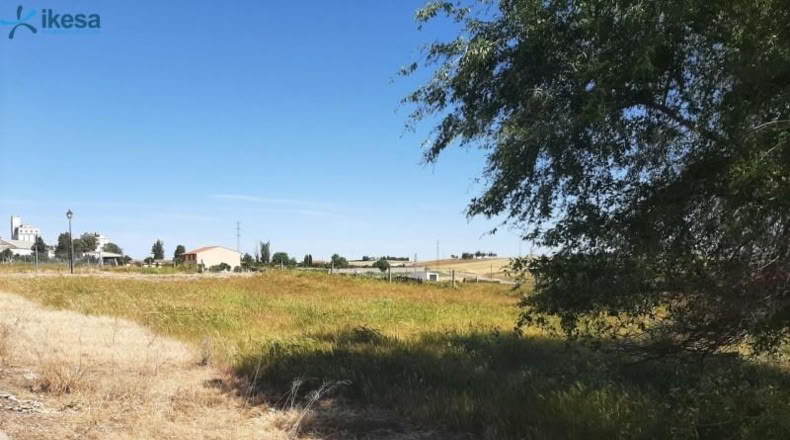 Badajoz - Azuaga - 207m2