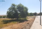 Parcela urbanizable en venta en la España, Azuaga, ref: TR299960 foto