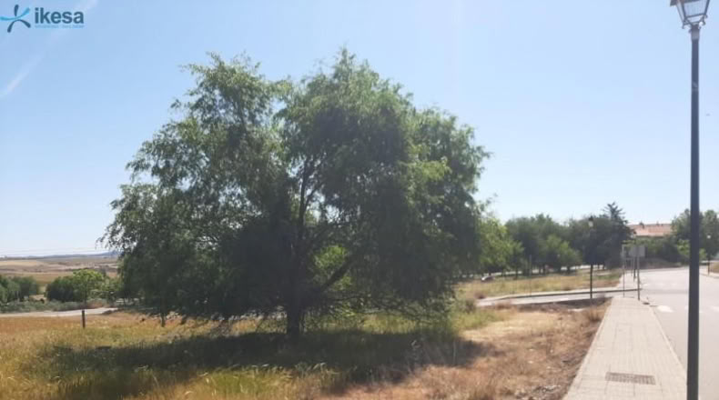 Badajoz - Azuaga - 207m2