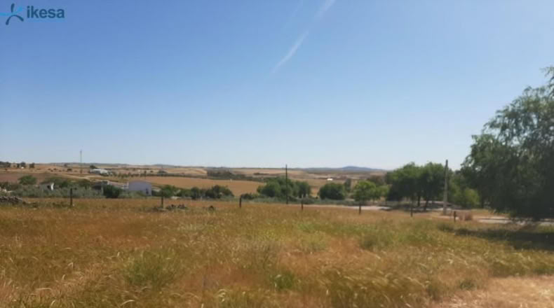 Badajoz - Azuaga - 207m2
