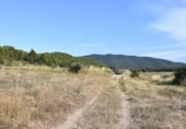 Chalet independiente con terreno en venta en la España, Fuentespalda, ref: TR337066 foto